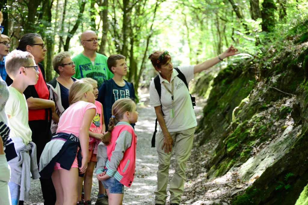 Un groupe en randonnée guidée en Ardenne