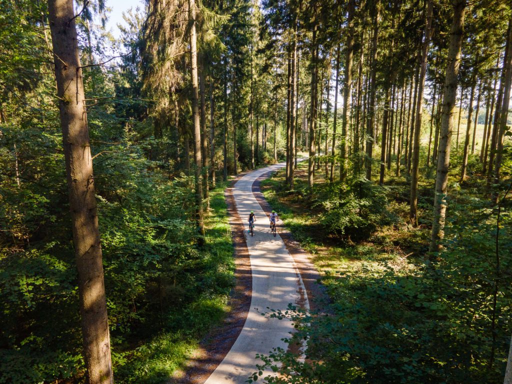 Une piste cyclable en foret